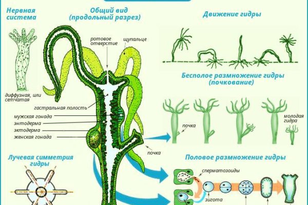 Kraken darknet зеркала кракен обход