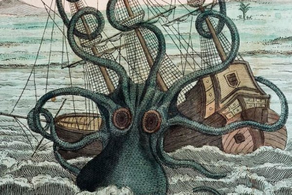 Kraken 20at net