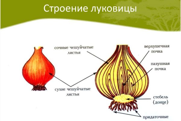 Кракен маркетплейс создатель