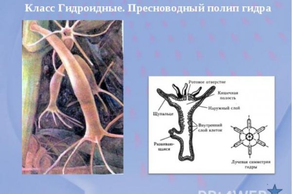 Kraken сайт зеркала