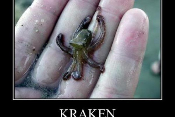 Www kraken 20at net