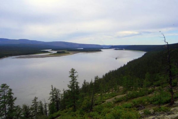 Кракен сайт бошки