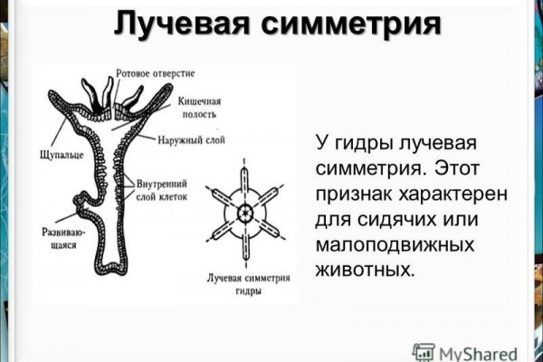 Кракен сайт kr2web