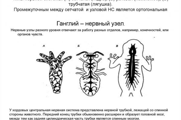 Kraken зеркала kr2web in